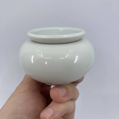 Tiny Porcelain Tea Caddy
